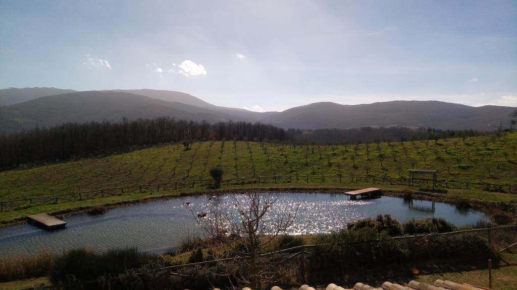 Montecastelli Pisano Fattoria San Paolo Agriturismo מראה חיצוני תמונה